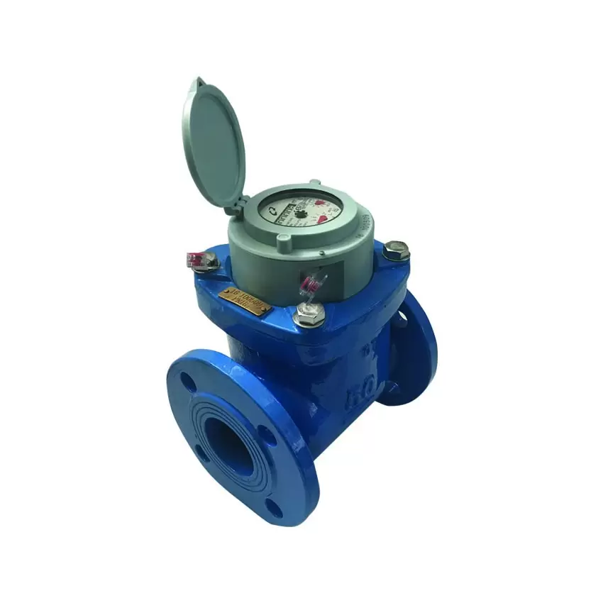 CONTATORE WOLTMANN QUADRANTE ESTRAIBILE SERIE OMEGA